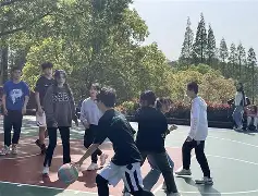 乌迪内斯的比赛动图